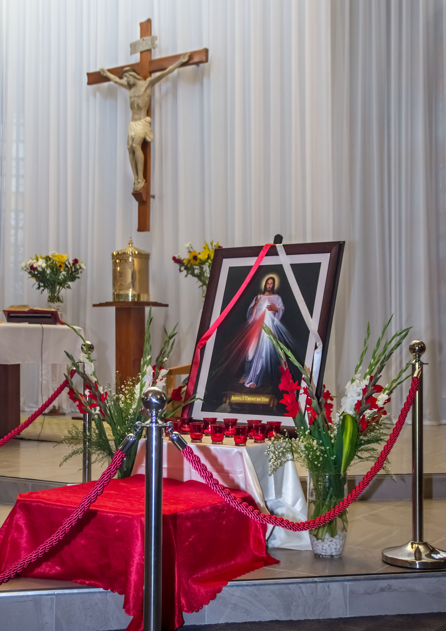 Divine Mercy Sunday 8 Apr - Photo 3