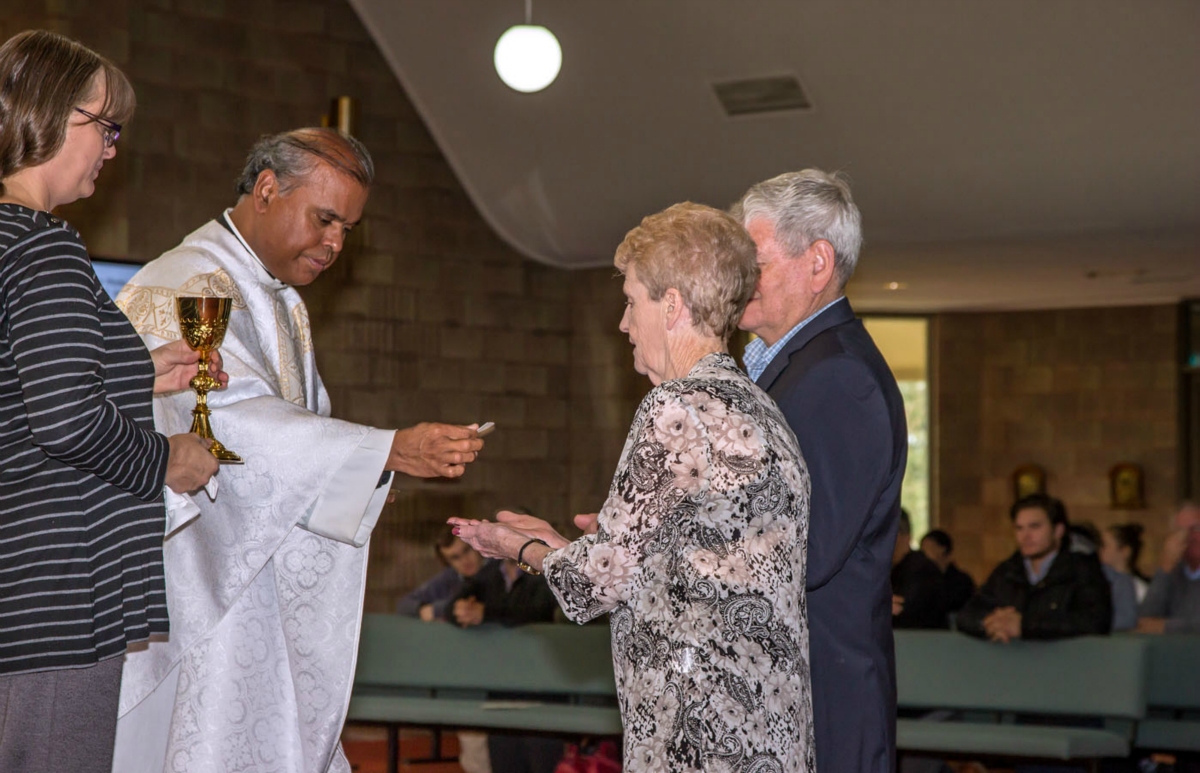 Pat & Alf Norman S Golden Anniversary - Photo 45