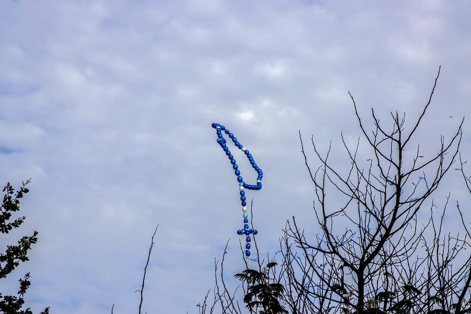 Living Rosary 2 May - Photo 13