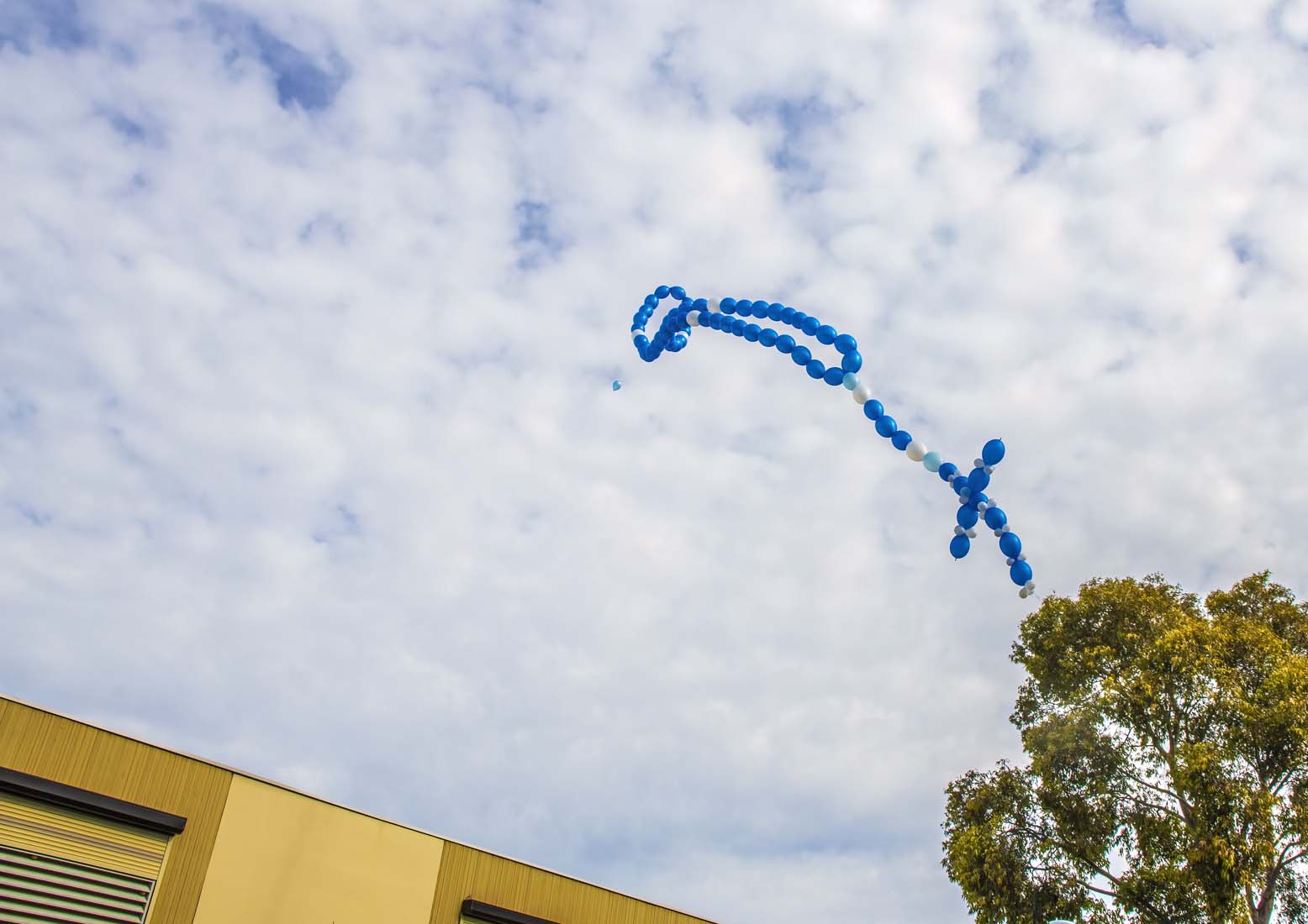 Living Rosary 2 May - Photo 14