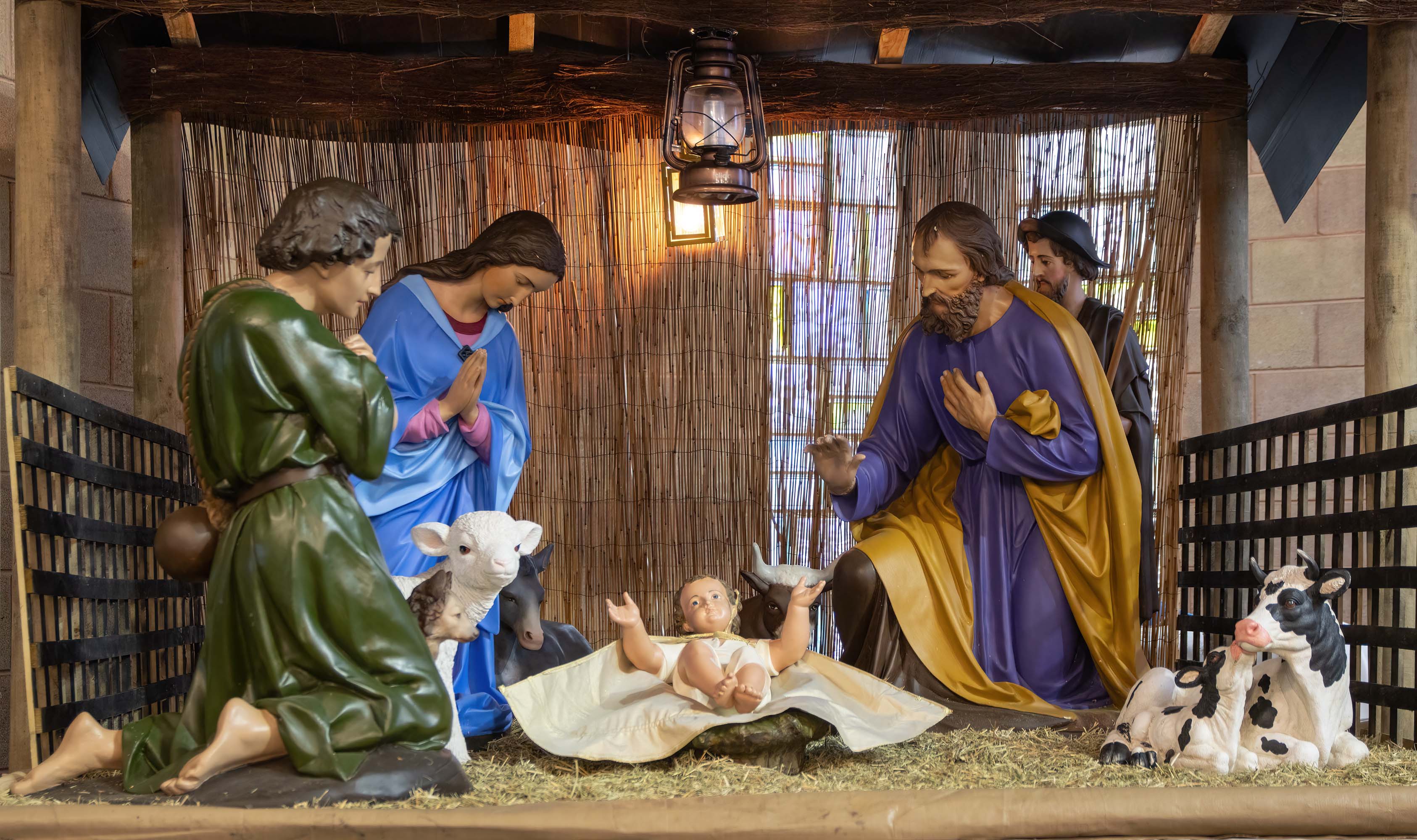 Christmas Family Mass 24 December - Photo 34