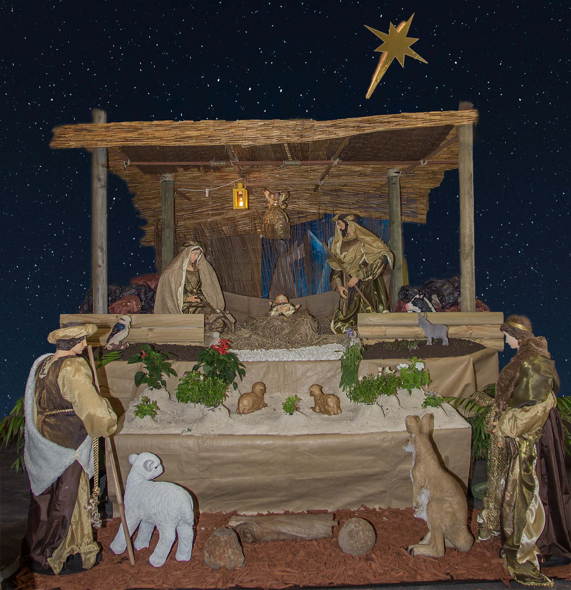 Christmas Family Mass 24 Dec - Photo 2