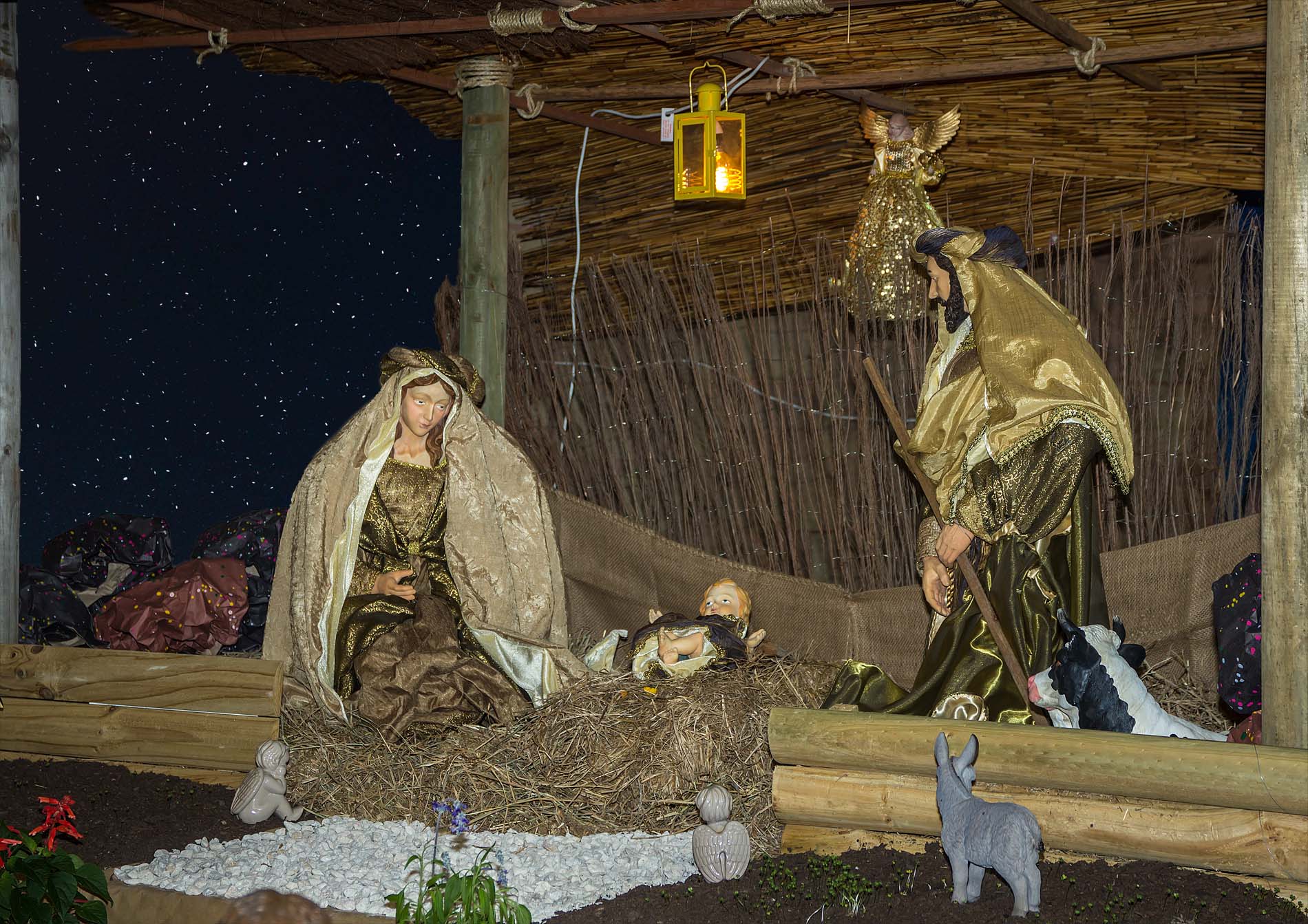 Christmas Family Mass 24 Dec - Photo 1