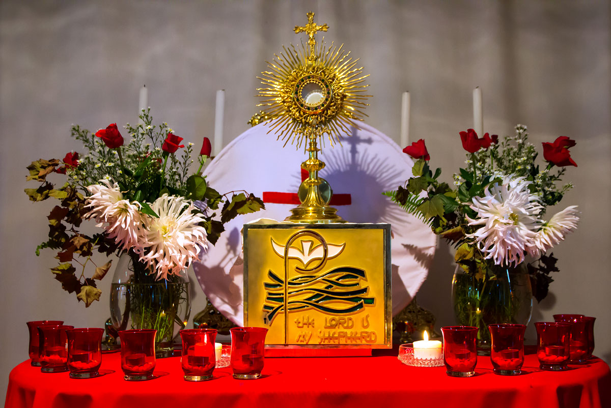Holy Week - Photo 4